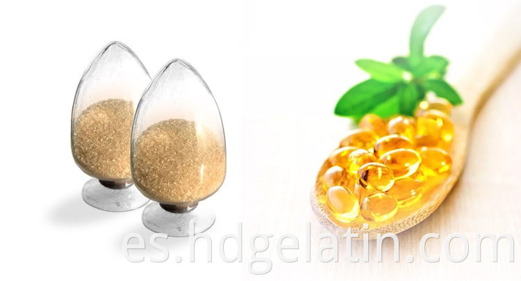 Hot Sell Bloom Gelatin farmacéutico para cápsulas de gelatina dura vacía